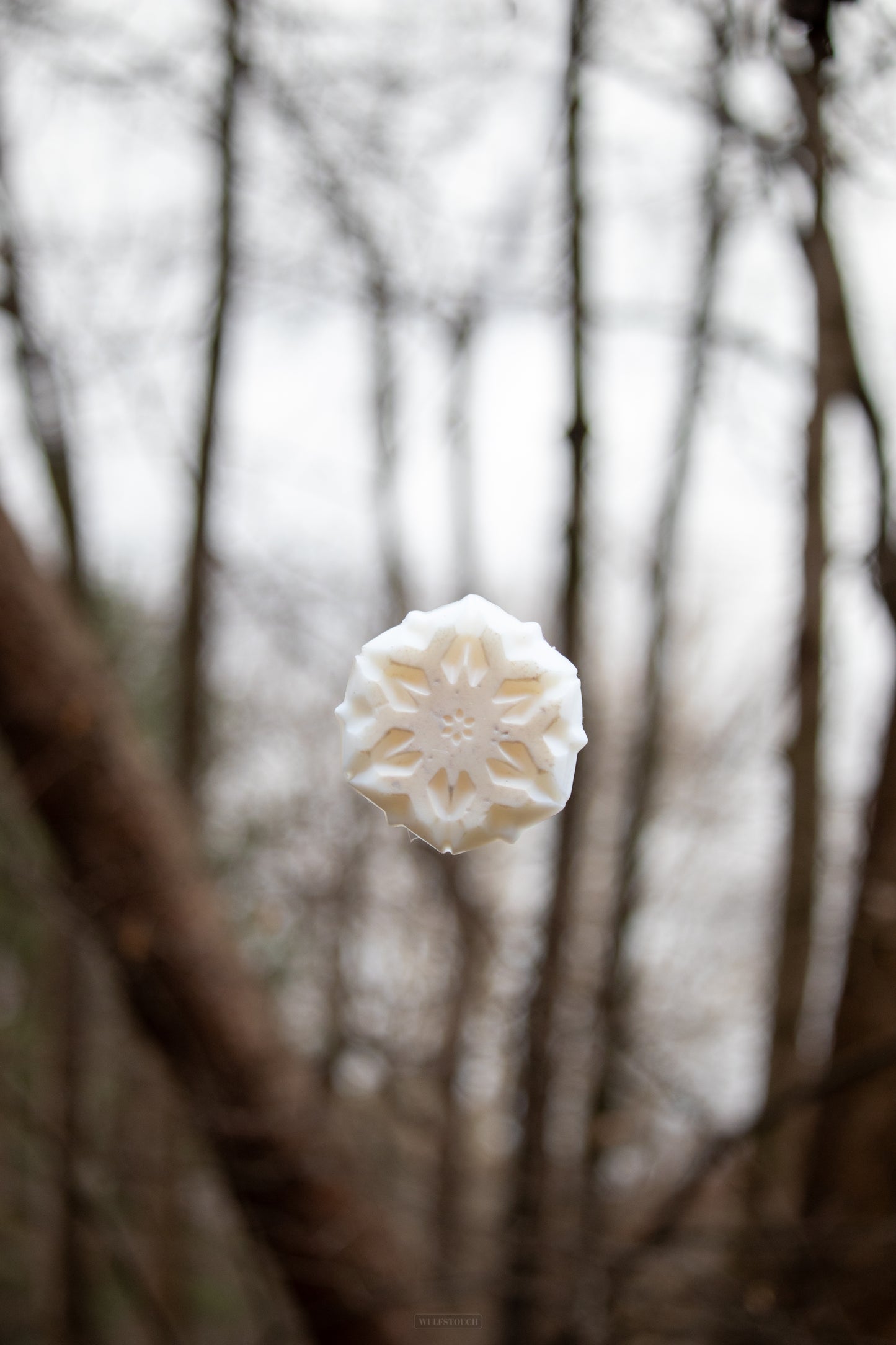 Arctic Mint Soap Bar