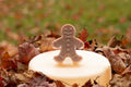 Mr. Gingy Soap Bar – Gingerbread Scent | Handmade Holiday Soap