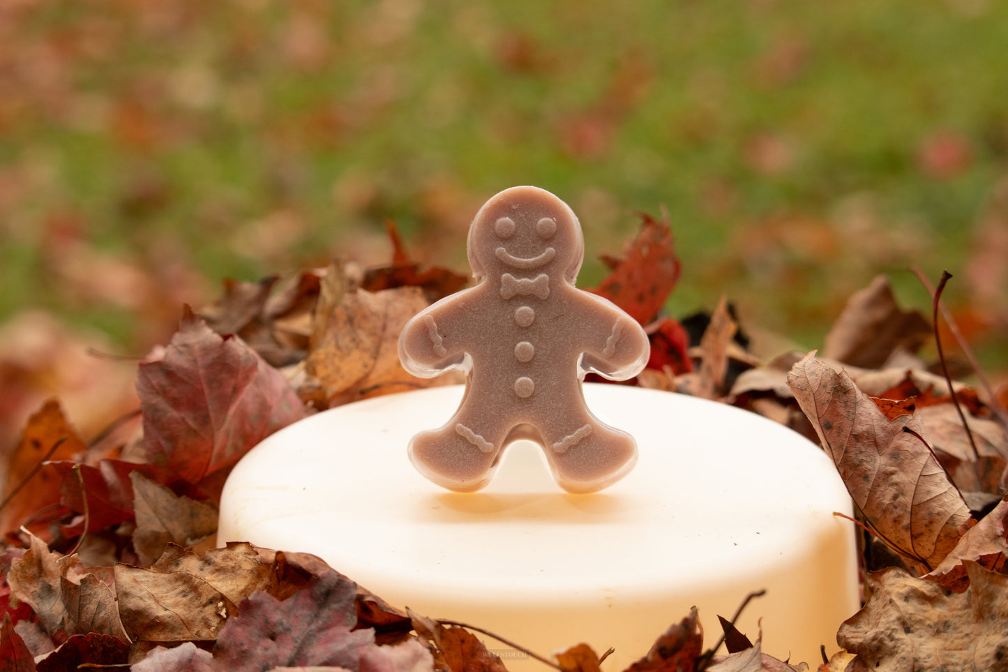 Mr. Gingy Soap Bar