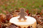 Mr. Gingy Soap Bar