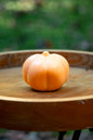 Harvest Pumpkin Soap Bar