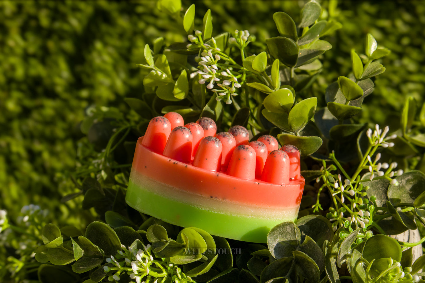 Watermelon (Massage Bar)